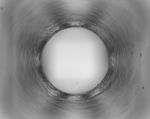 X0000087340422200705111552