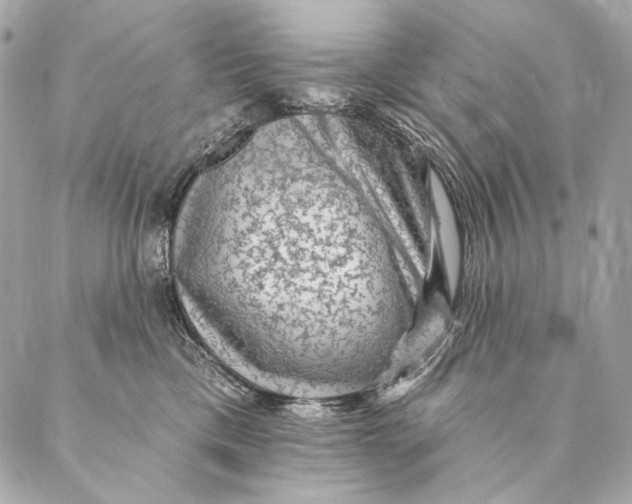 X0000087340425200705111552
