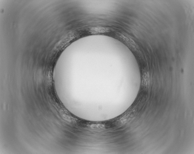 X0000087340426200705111552