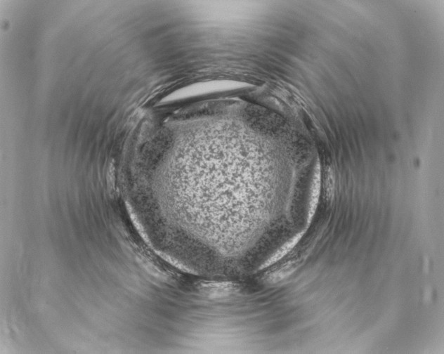 X0000087340428200705111552