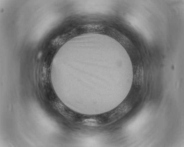 X0000087340430200705111552