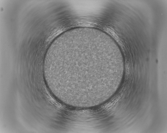 X0000087340433200705111551