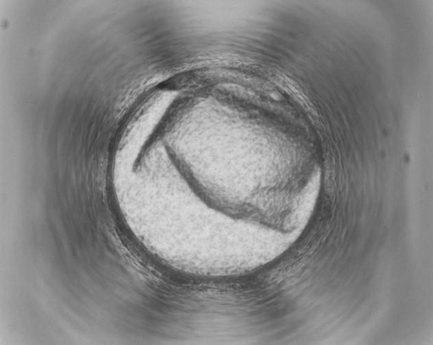 X0000087340434200705111551