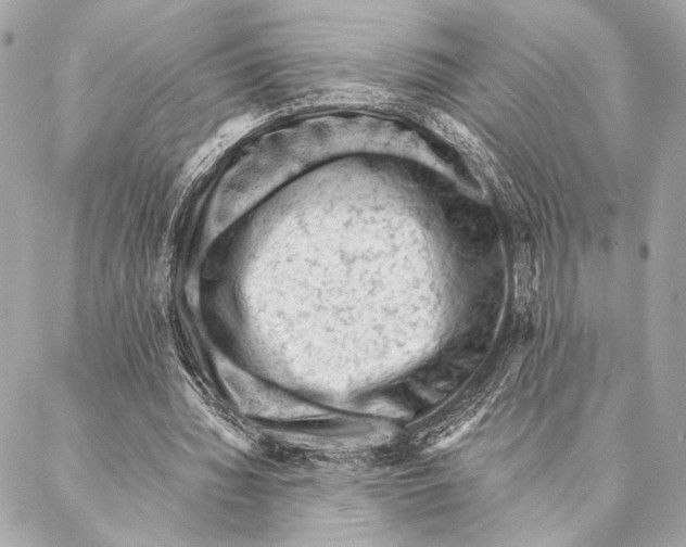 X0000087340436200705111551
