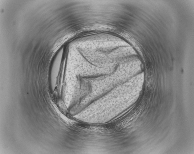 X0000087340437200705111551