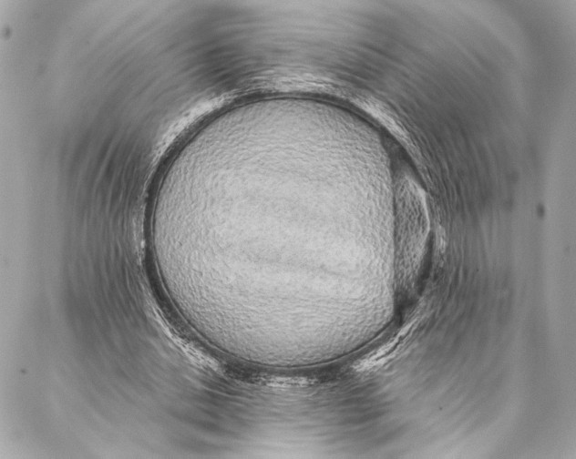 X0000087340438200705111551