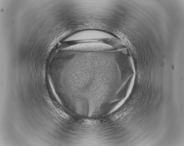 X0000087340442200705111551
