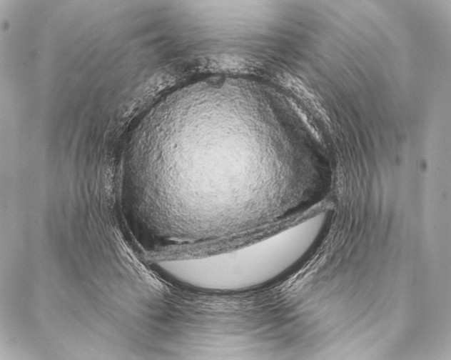 X0000087340449200705111552