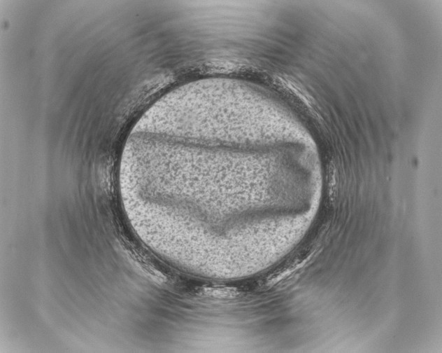 X0000087340455200705111552