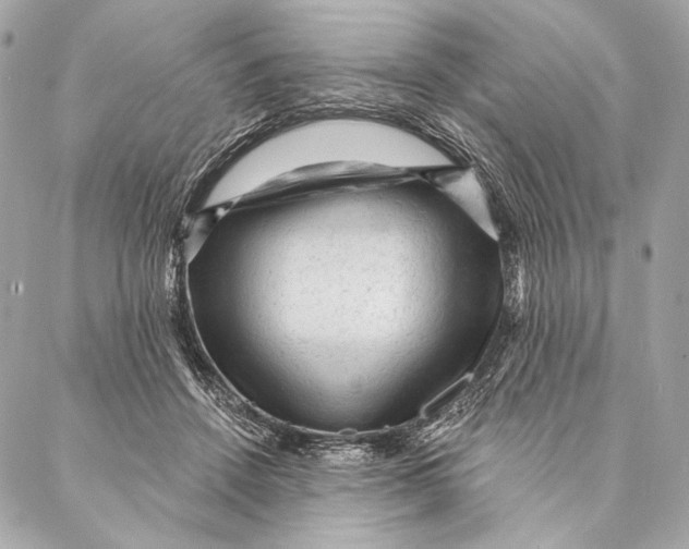 X0000087340456200705111552