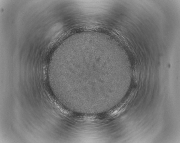 X0000087340462200705111552