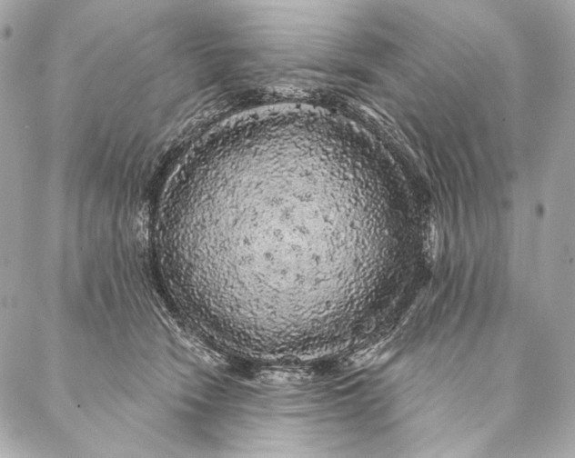 X0000087340466200705111552