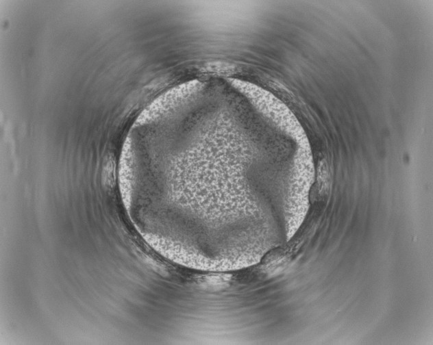 X0000087340474200705111552