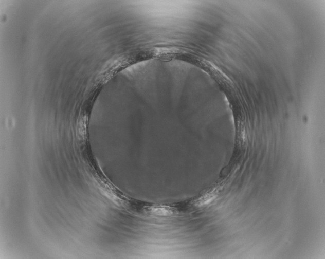 X0000087340475200705111552