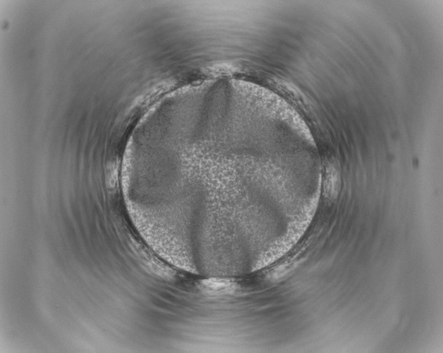 X0000087340477200705111552
