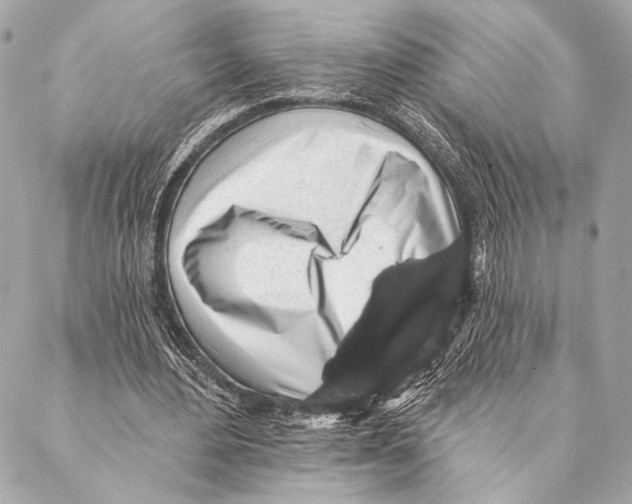 X0000087340484200705111551