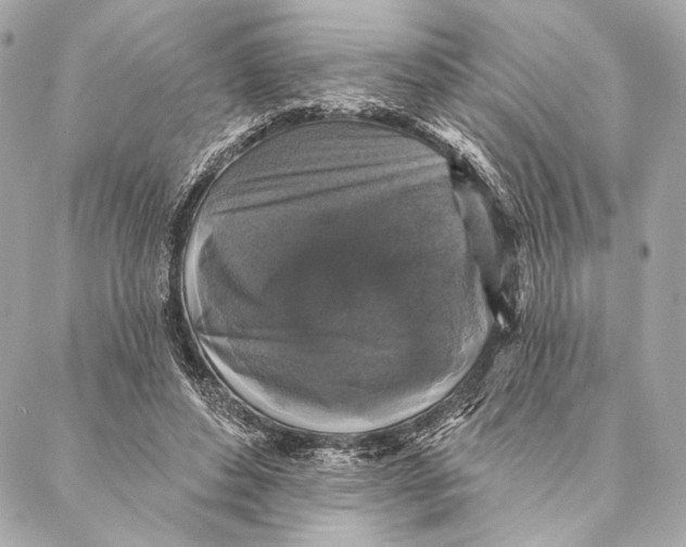 X0000087340496200705111551