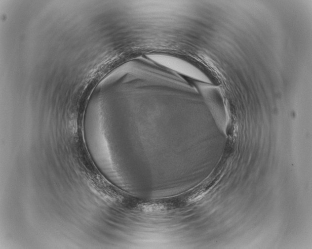 X0000087340500200705111551