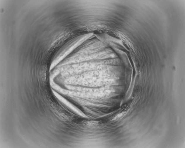 X0000087340501200705111551