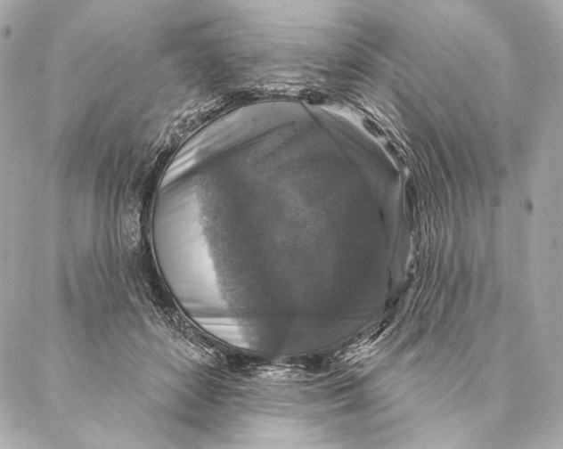 X0000087340504200705111551