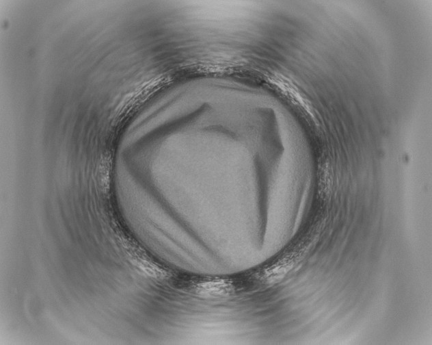 X0000087340505200705111551