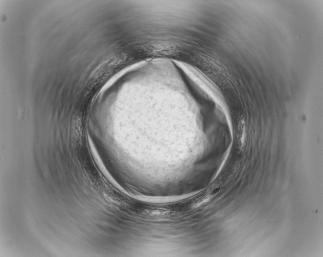 X0000087340506200705111551