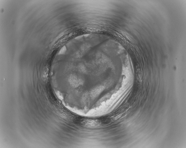 X0000087340507200705111551