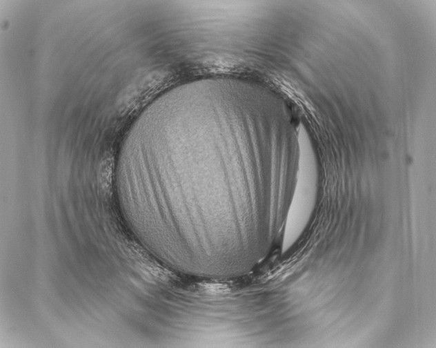 X0000087340509200705111551