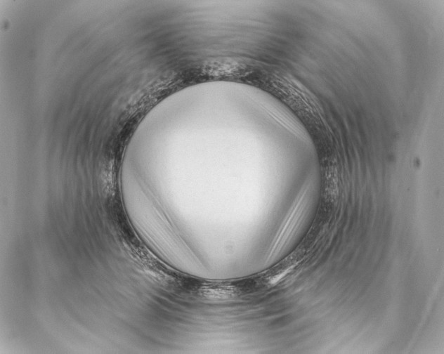 X0000087340510200705111551