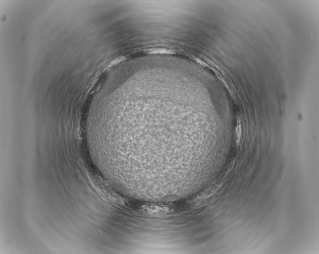 X0000087340512200705111551