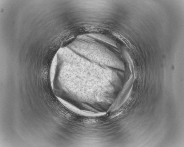 X0000087340513200705111551