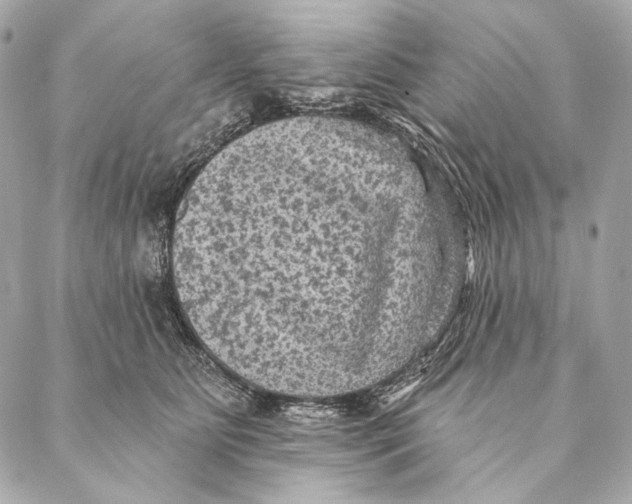 X0000087340515200705111551