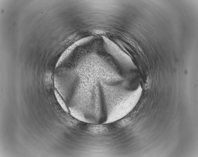 X0000087340521200705111551