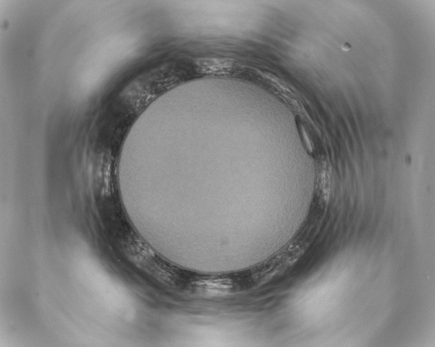 X0000087340525200705111551