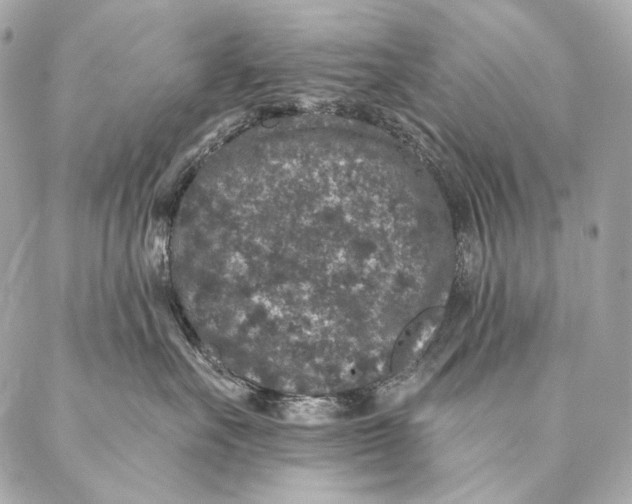X0000087340527200705111551