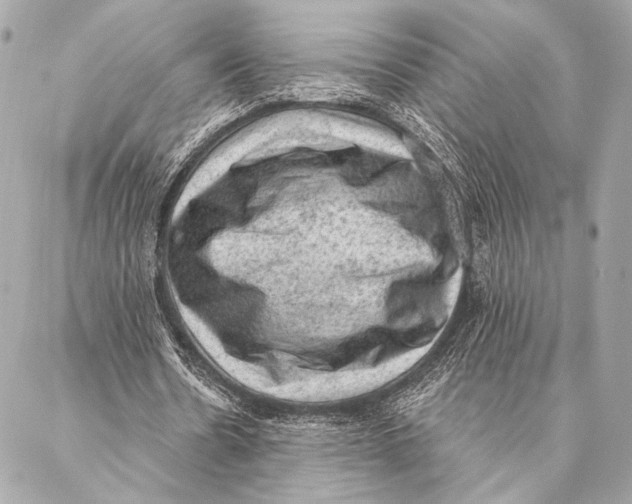 X0000087340530200705111550