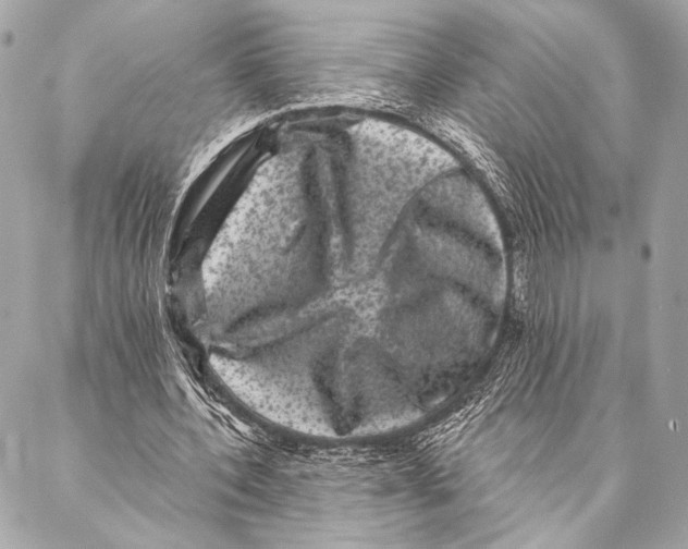 X0000087340532200705111550