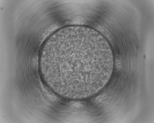 X0000087340534200705111550