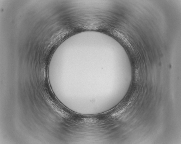 X0000087340541200705111550