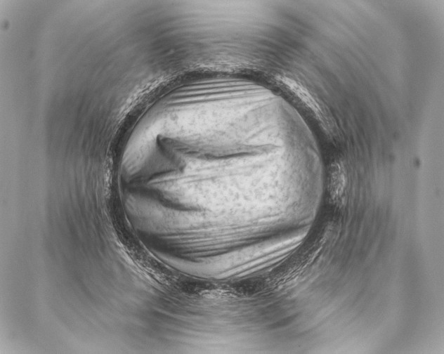 X0000087340544200705111550