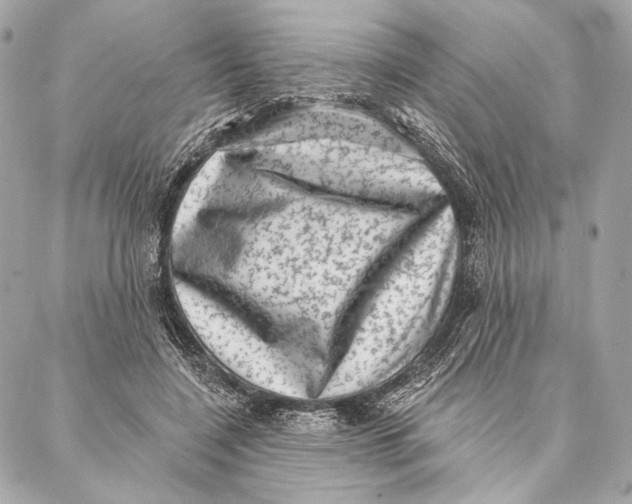 X0000087340548200705111550