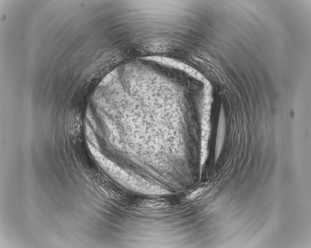 X0000087340555200705111550