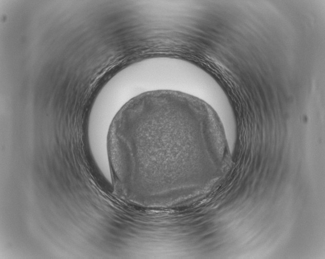 X0000087340556200705111550