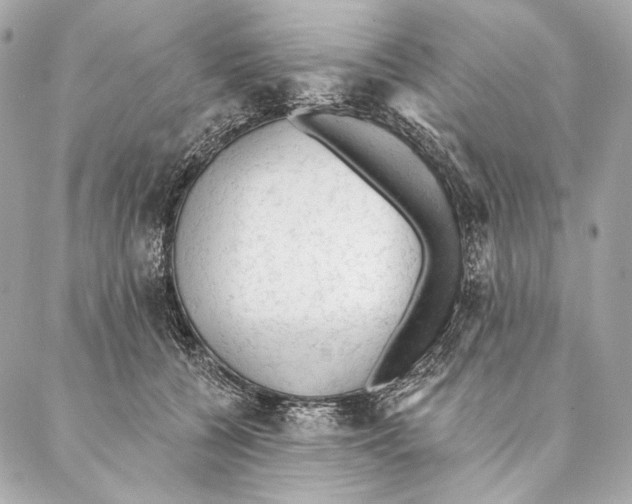 X0000087340560200705111550