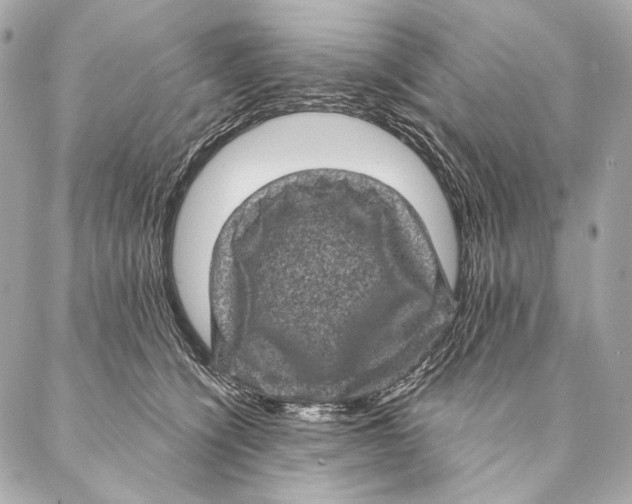 X0000087340564200705111550
