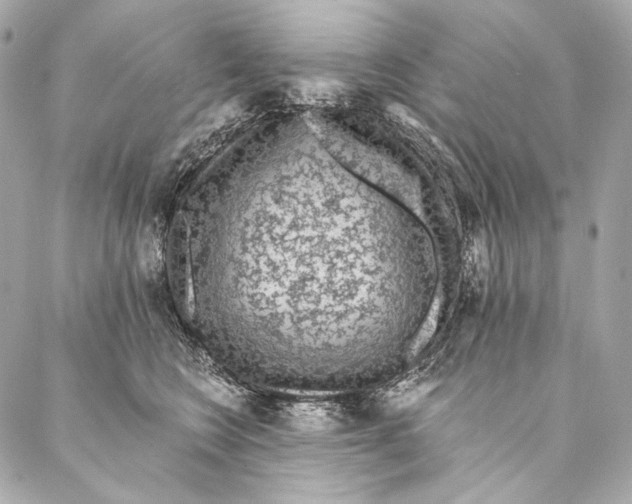 X0000087340566200705111550