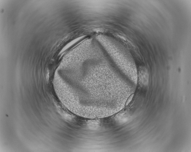 X0000087340574200705111550