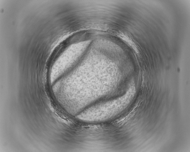 X0000087340580200705111550