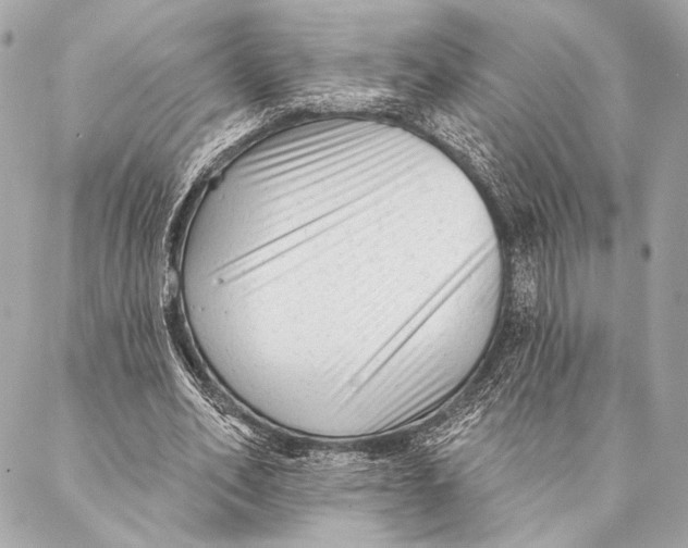 X0000087340582200705111550
