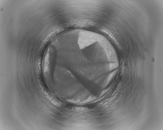 X0000087340590200705111550